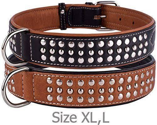 Dog Leather Collar EXL Imported