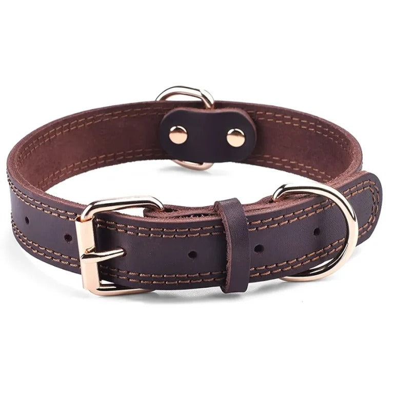 Dog Leather Collar  Imported