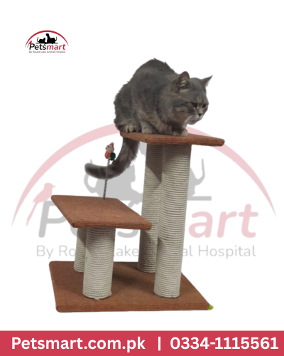 Double pool scrachter