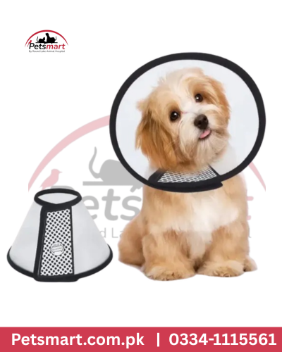 E coller for Dogs M