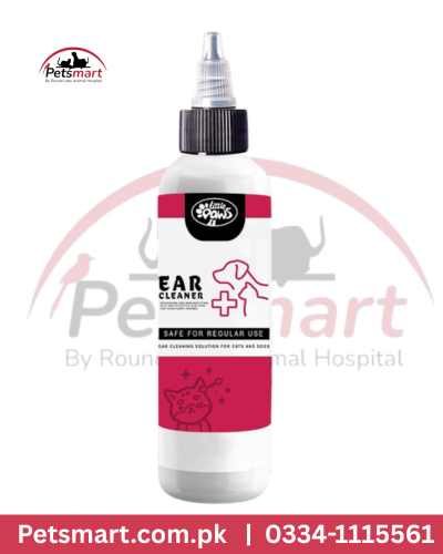 Ear cleaner