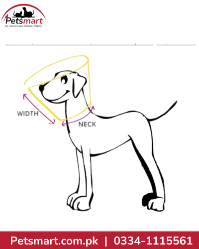 A diagram showing a dog with a cone collar, labeled with 'WIDTH' and 'NECK' arrows, on a white background with the Petsmart logo at the top and Petsmart.com.