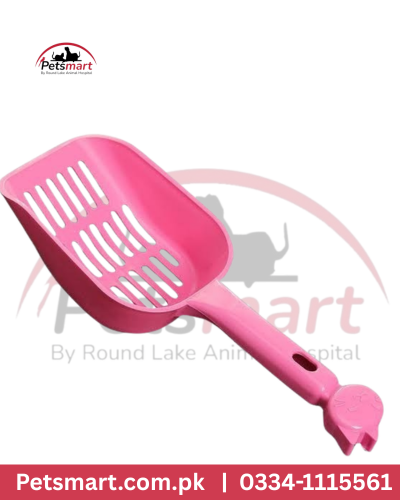 Food scoop