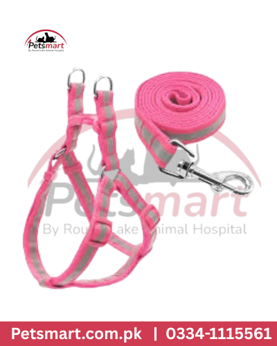 Harness with Leash for Dogs