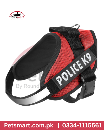 K9 body chester dog