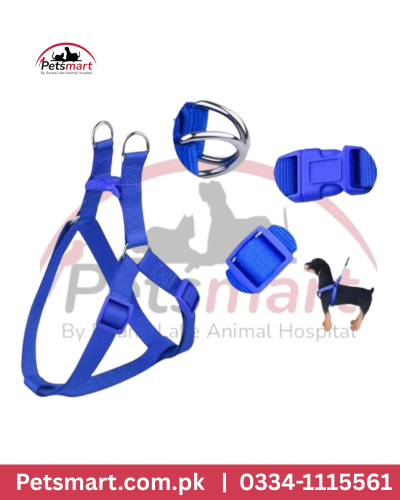 Body Harness for Dogs