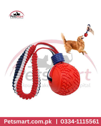 Hanging Large ball toy