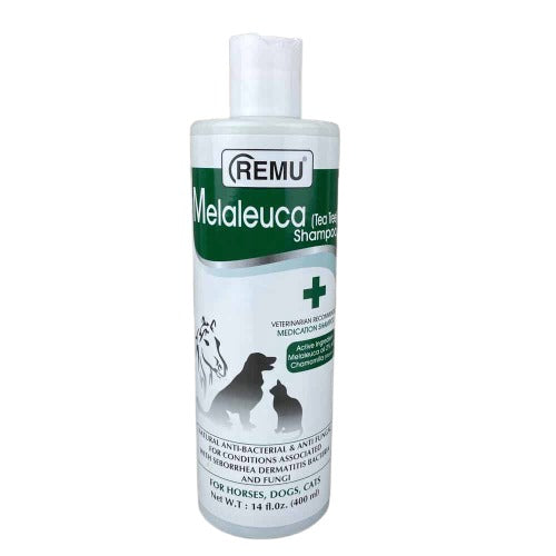 Melaleuca tea tree shampoo 500ml