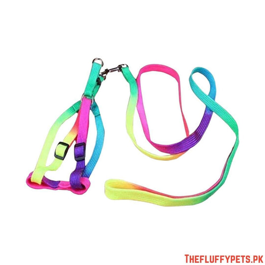 Multi color leash With Harness