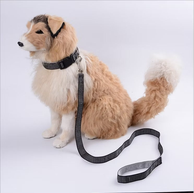 PUPPY LEASH WITH CHAIN COLLAR