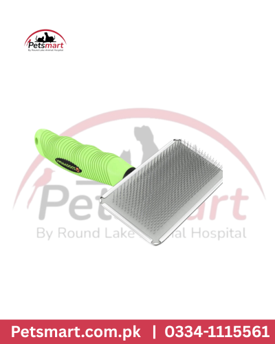 Pet brush imp
