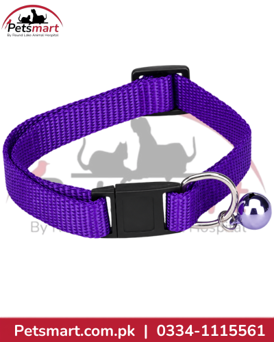 Imported Cat Collar