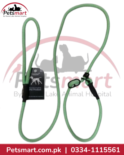 Yabeibi Rope Choke Leash for Dogs – Green