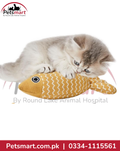 Plush Fish Cat Toy