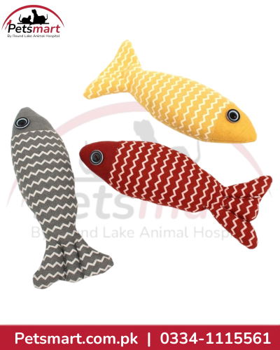Plush Fish Cat Toy
