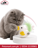 Feather Tail Bird Cat Toy with Bell