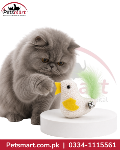 Feather Tail Bird Cat Toy with Bell