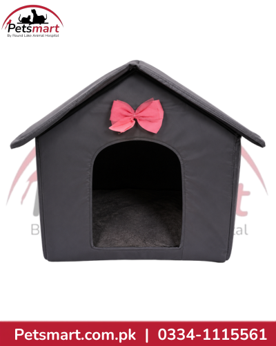 Indoor Cat Play House