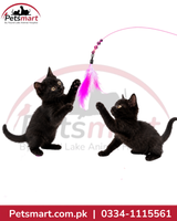 Flexible Feather Cat Teaser Wand Toy – Pink