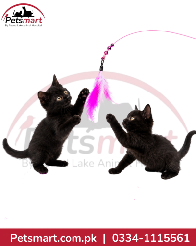 Flexible Feather Cat Teaser Wand Toy – Pink