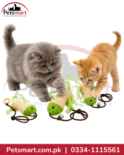 Crinkle Tassel Cat Toy with Ring & Bell