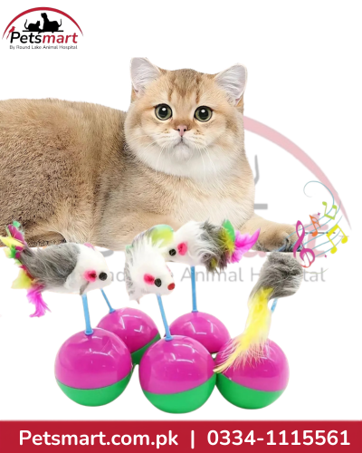 Cat Ball Toy with Mouse – Interactive Rolling Toy for Cats