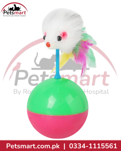 Cat Ball Toy with Mouse – Interactive Rolling Toy for Cats
