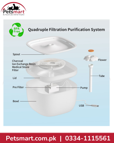 Electric Water Fountain For Cat