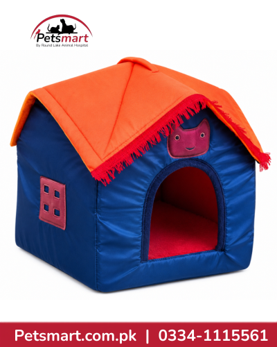 Umbrella-Style Indoor Cat House with Covered Sleeping Area