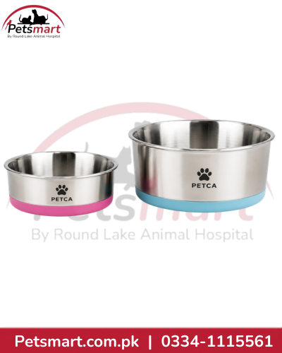 Dog Colorful Silicon-Bottomed Non-Slip Basin