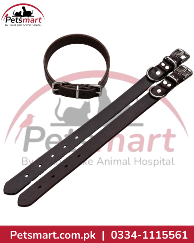 Small Leather Dog Collar with Metal Buckle