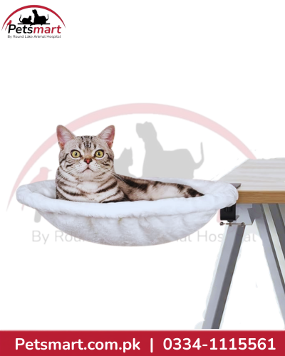 Cat Bed for Table L