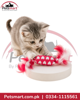 Heart Print Feather Candy Cat Toy with Bell