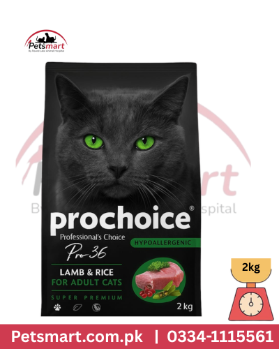Prochoice 36 adult lamb rice 2kg