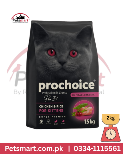 Prochoice 37 kitten cat chicken rice 2 kg