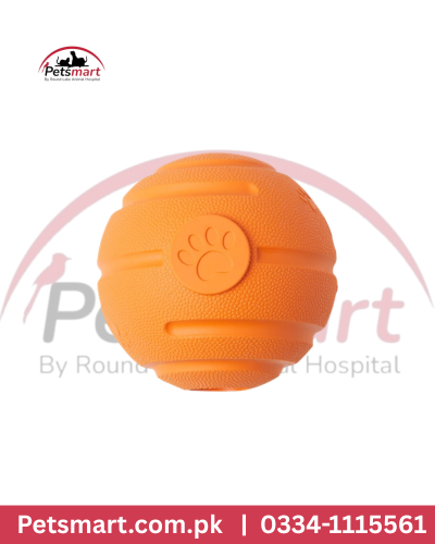 Plastic pet toy dog