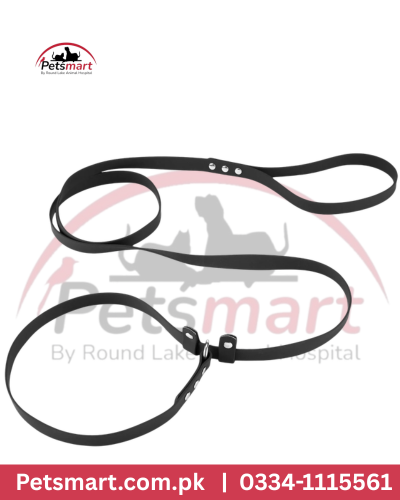 Puppy slip Leash