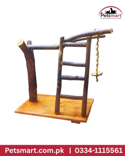 Bird ladder stand