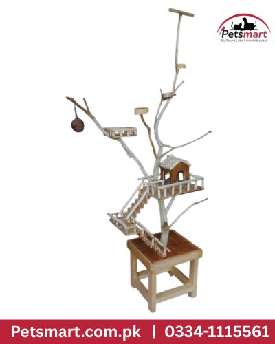 Bird java tree stand