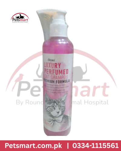 Remu freshy shampoo