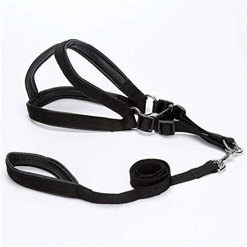 Round Leash With Harnes S