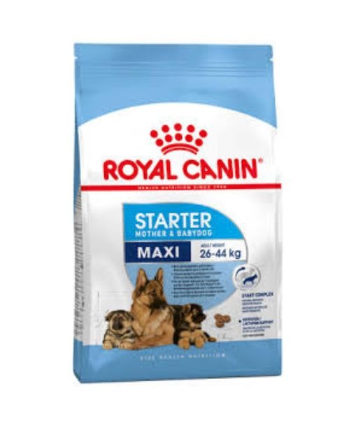 Royal Canin Maxi Starter 4kg