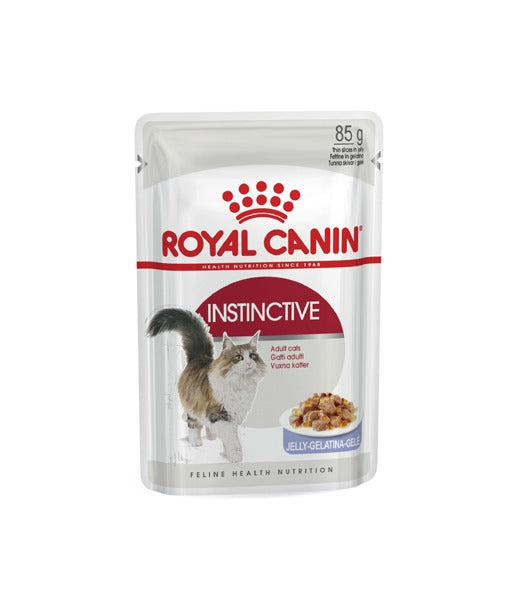 Royal canin adult jelly