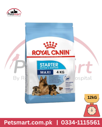 Royal canin maxi starter 4kg