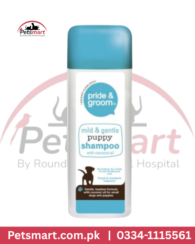 Puppy groom pride shampoo