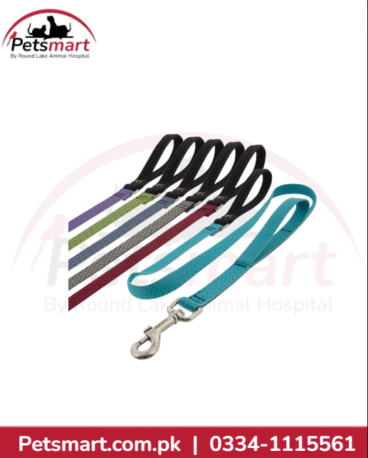 Puppy Colurful leashes