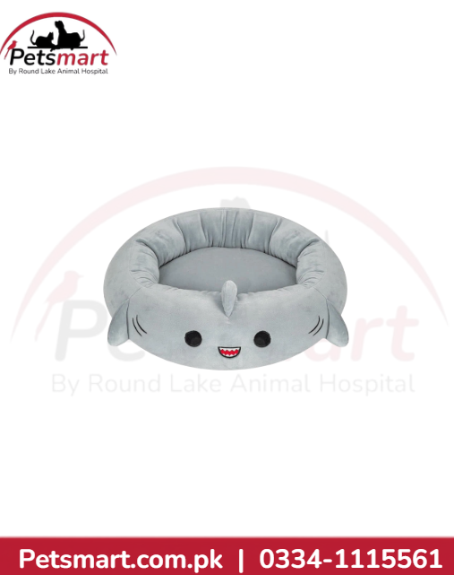 Cartoon tail bed