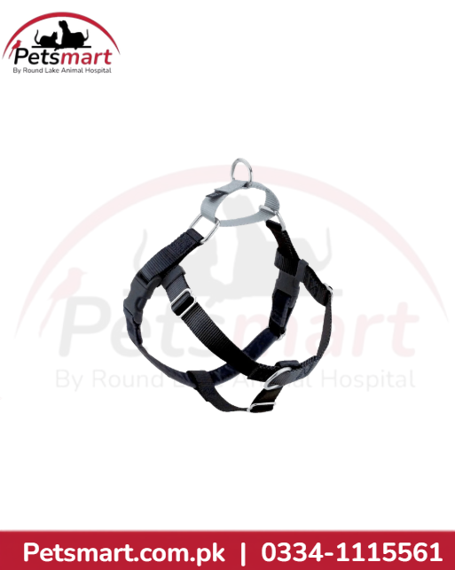 Dog harness XXL