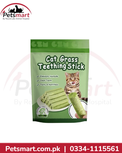 Cat Grass treat