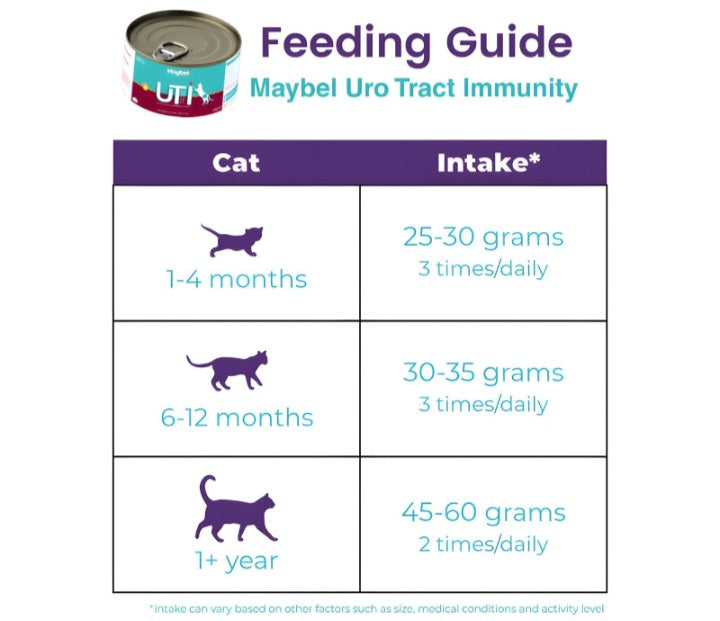 Maybel Urinary Support Wet Cat Food